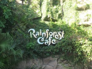 rainforest cafe | rainforest cafe gift cards | rainforest cafe locations | rainforest cafe menu with prices |rainforest cafe sanantonio 