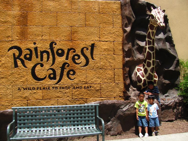 rainforest cafe | rainforest cafe gift cards | rainforest cafe locations | rainforest cafe menu with prices |rainforest cafe sanantonio